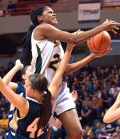 Growing UP: 2014 N-G All Area Girls Team