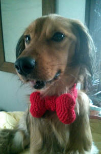 Crochet bow hotsell tie for dogs