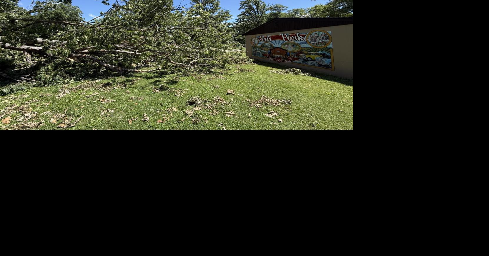 Lincoln Park tree damage near mural