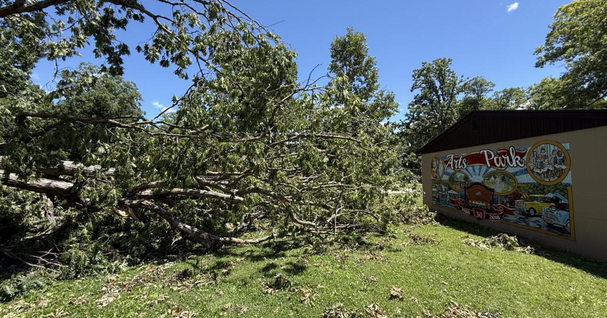 Lincoln Park tree damage near mural