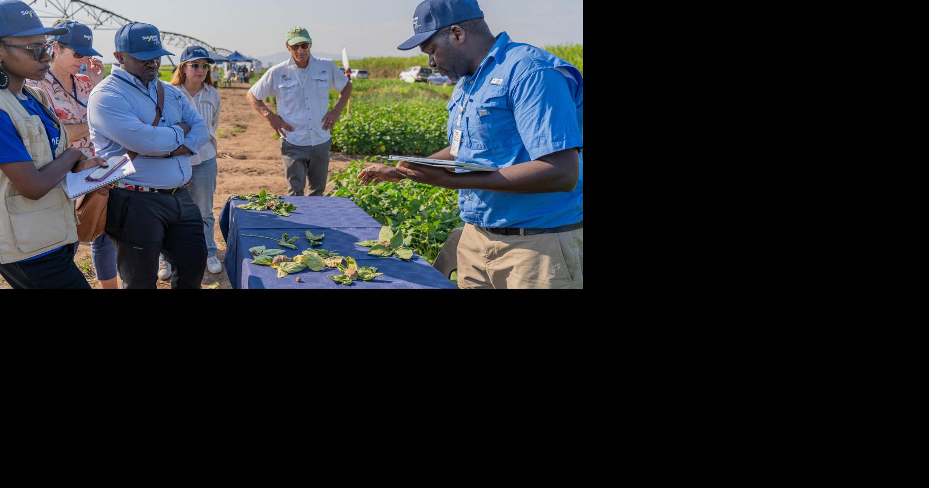 Soybean Innovation Lab receives $1.5M from Gates Foundation