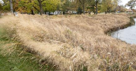 Controlled burn planned for Friday at Champaign detention pond Controlled burn planned for Friday at Champaign detention pond