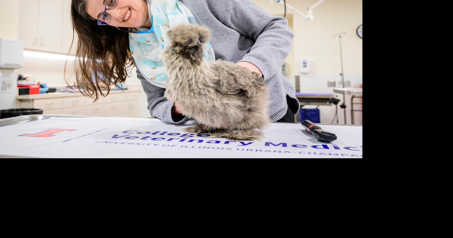 Pet Talk | Basically a spaceship | Pets
