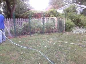 Diy Garden Cage Meant To Keep Squirrels Out Tomatoes In Living News Gazette Com