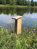 Kathy's #Mailbag, Sept. 9, 2022 | Tom's Mailbag 3 Mailbag.ChamParksInsectHotel.jpg