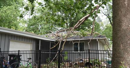 Toppled tree punches its way into Urbana couples first home Toppled tree punches its way into Urbana couples first home