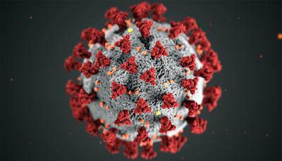 Coronavirus particle
