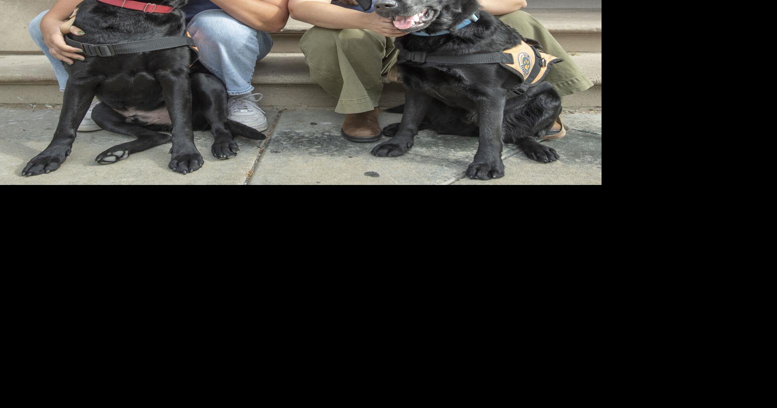 Illini Service Dogs celebrates 15 years | News | news-gazette.com