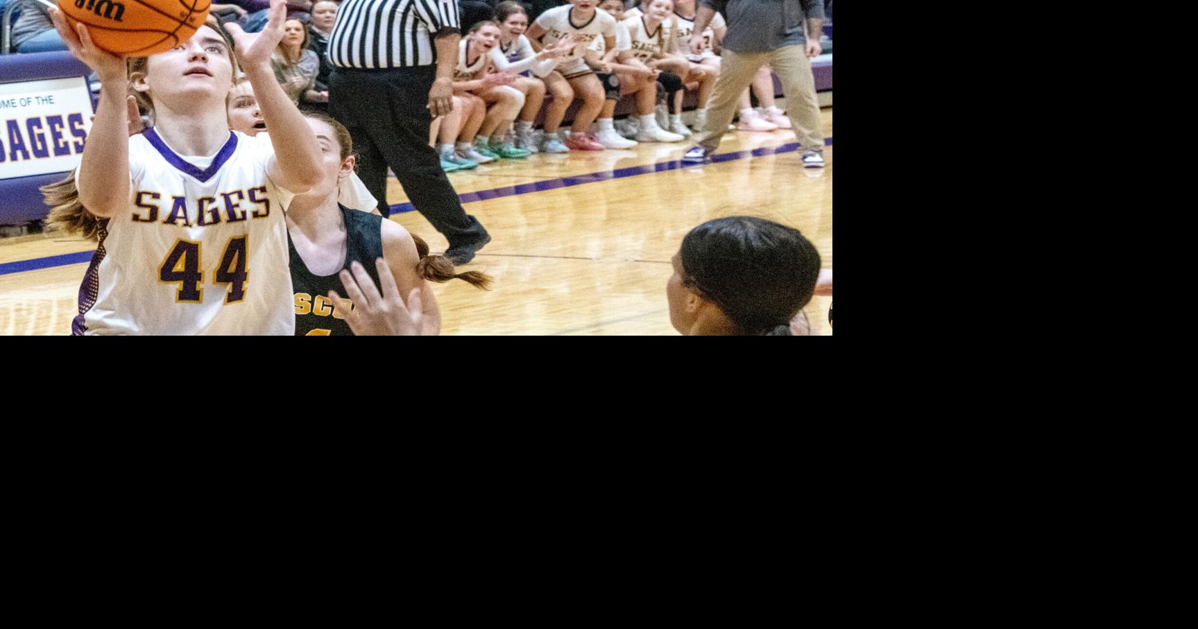 The News-Gazette’s girls’ basketball Top 10: Salt Fork stays at No. 1