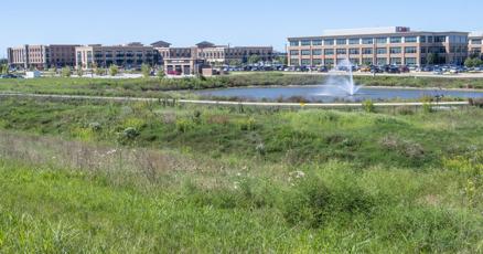 Five years and one pandemic later a look at Carle at the Fields Five years and one pandemic later a look at Carle at the Fields