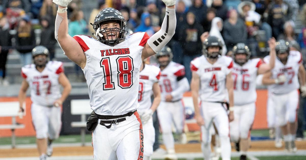 GCMS star Barnes accepts walk-on offer from Illini | Prep Sports | news ...