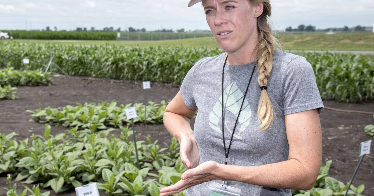 Claire Rutledge UI's RIPE agriculture project aims to tackle growing problem | News ...