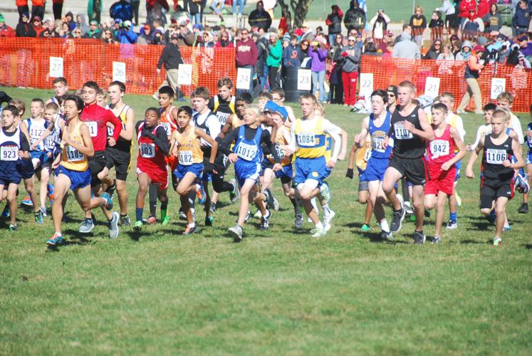 IESA cross country state meet Ford County