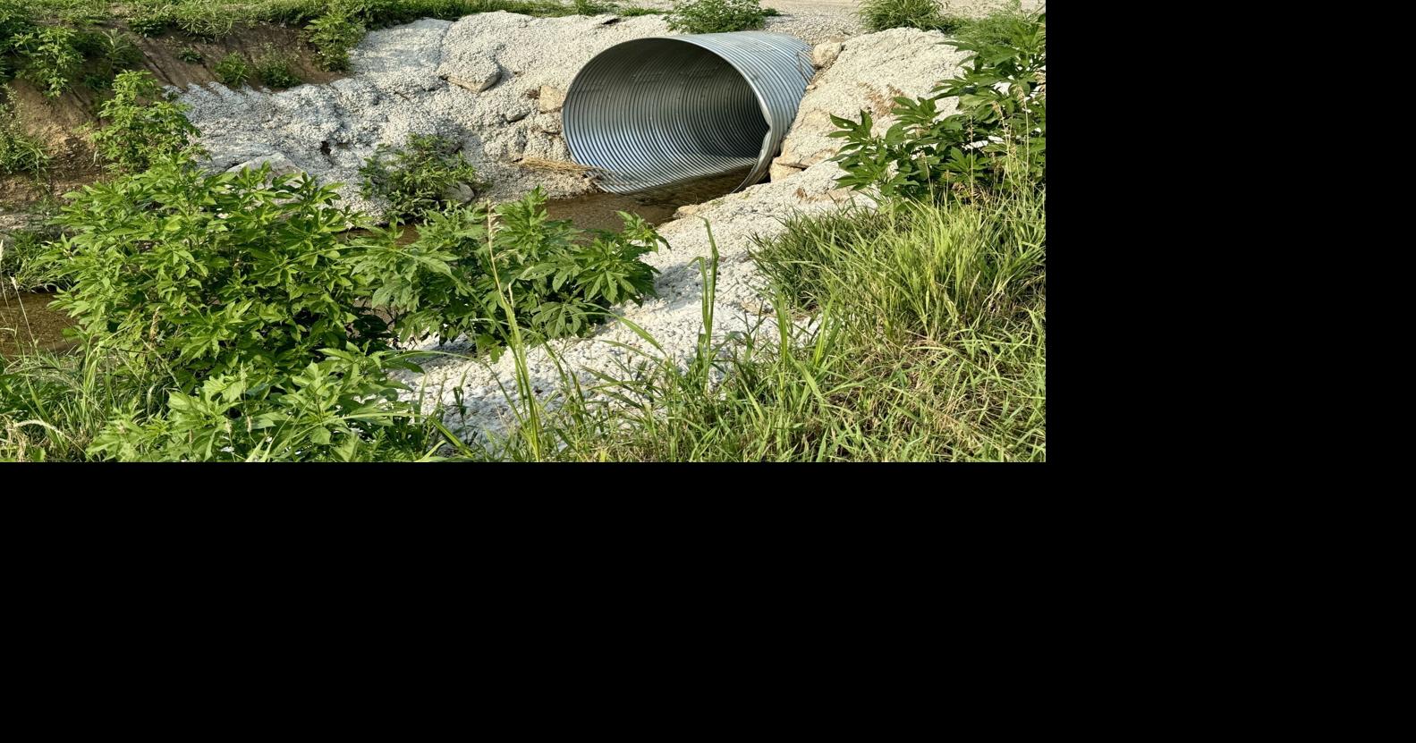 Kathy&rsquo;s #Mailbag, July 12, 2024