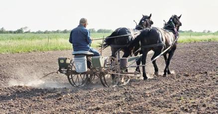AGBIZ 2 Not just tractors will be pulling equipment at farm show AGBIZ 2 Not just tractors will be pulling equipment at farm show