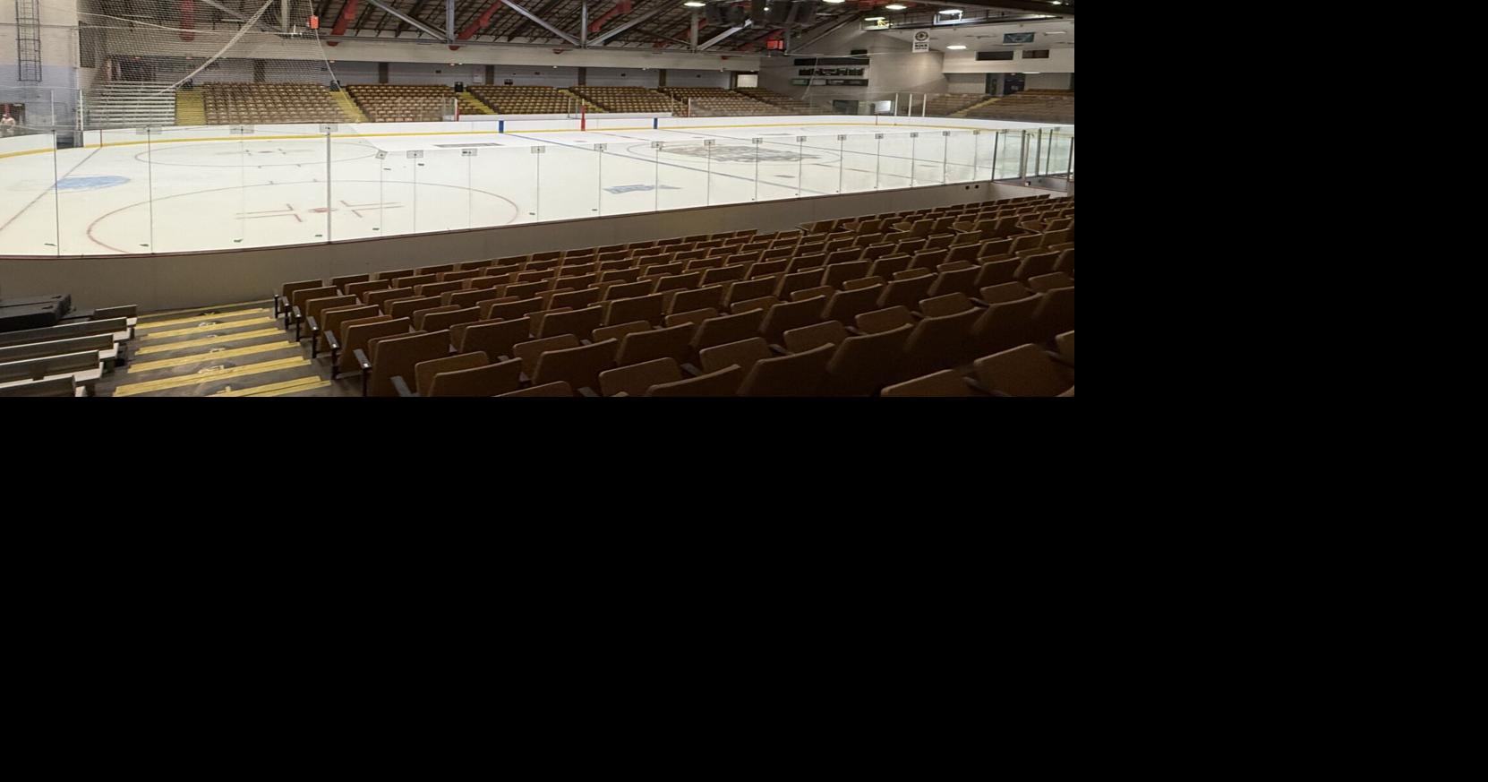 Hockey teams back in action this weekend in Danville