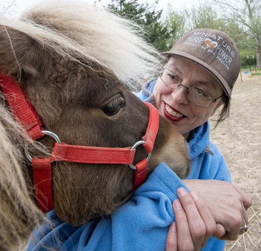 05012025  mini horses 1