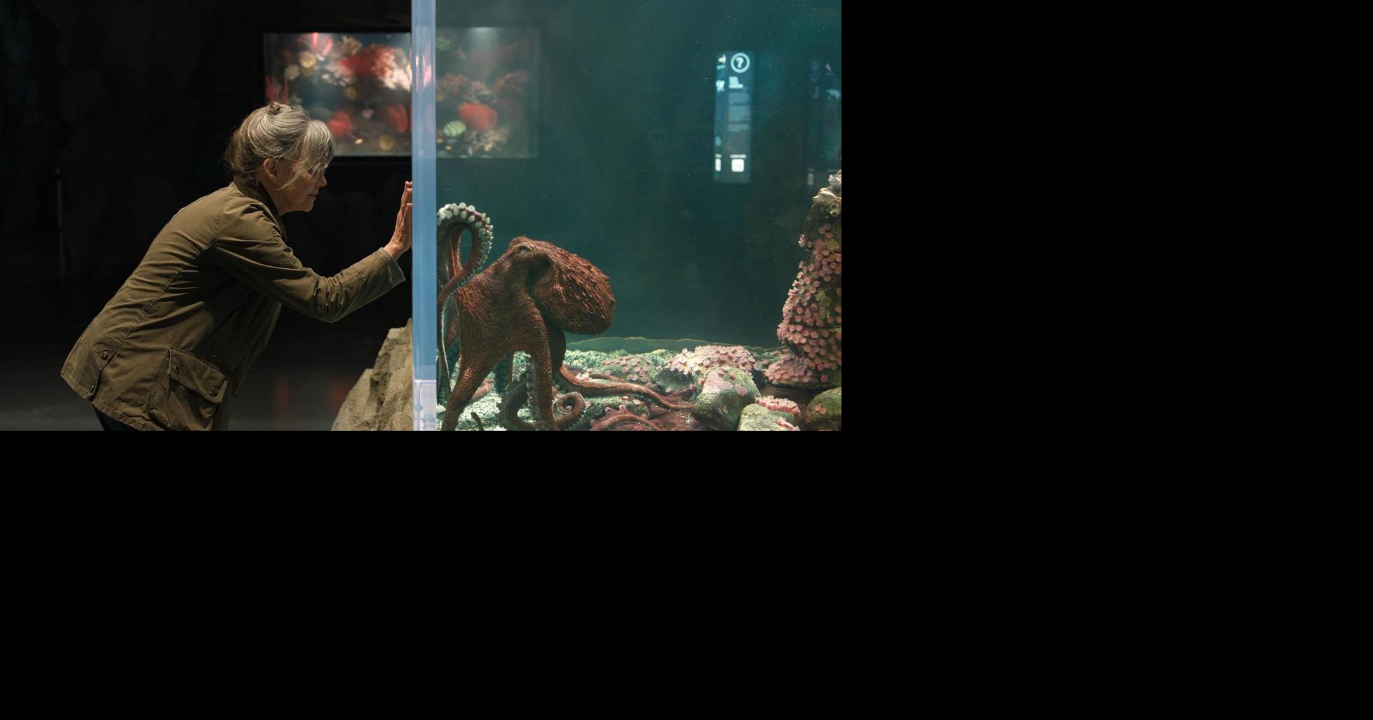 The Screening Room | Author, director bring life to 'Remarkably Bright Creatures'
