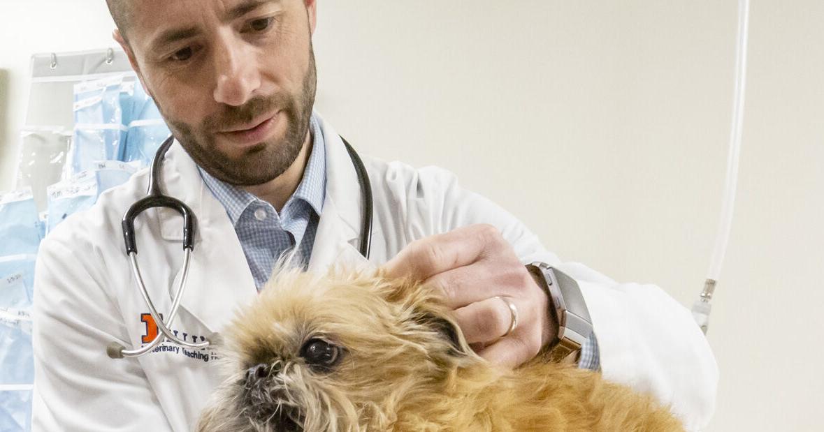 Pet Talk | What to do when your pet eats something it shouldn't