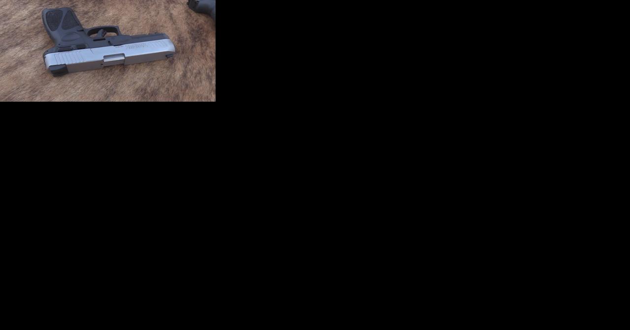 Open-records report | Firearms reported stolen to Danville, Rantoul and Urbana police - Vimarsana News