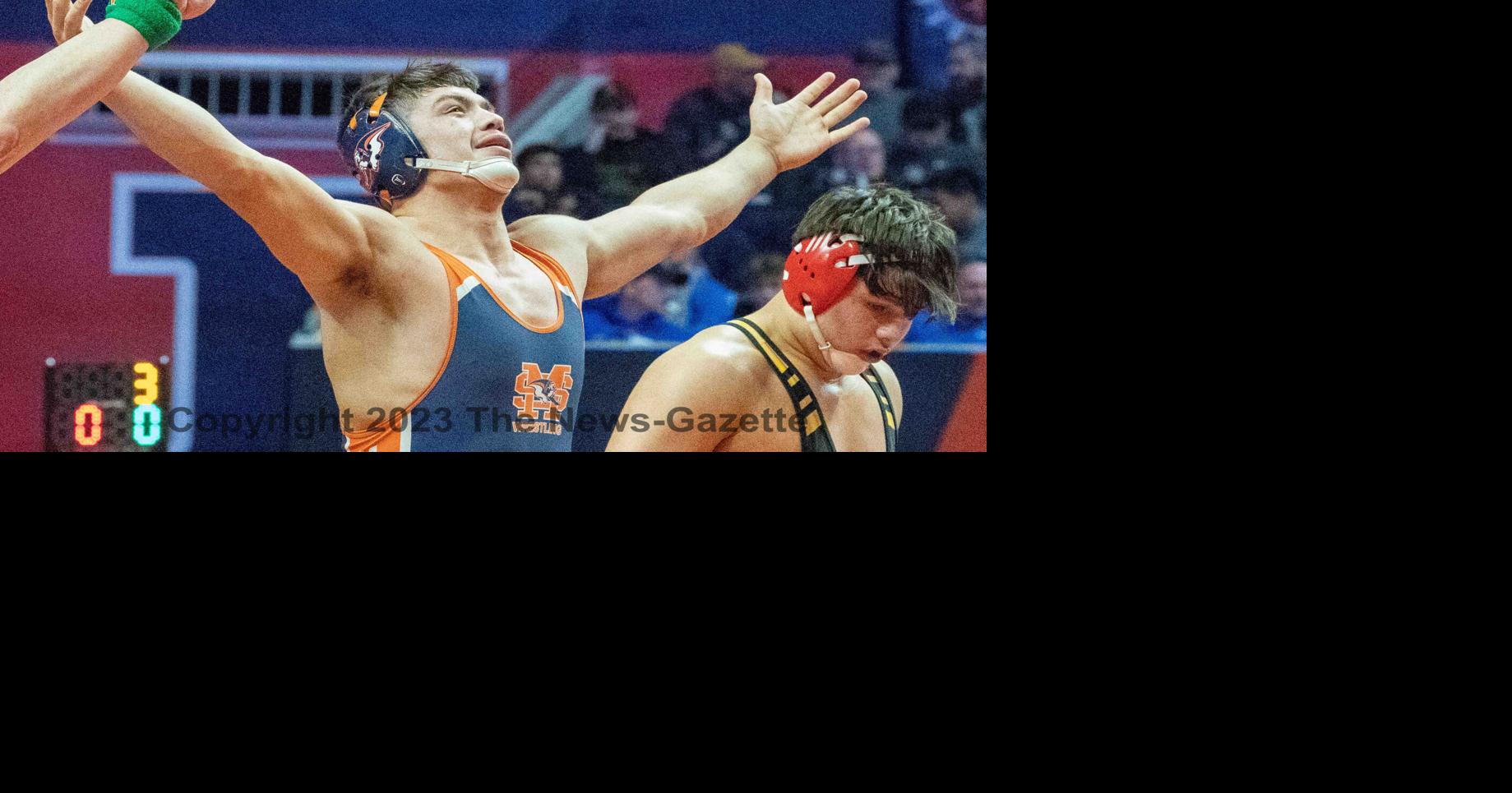 PHOTO GALLERY IHSA State Wrestling Championships Multimedia news