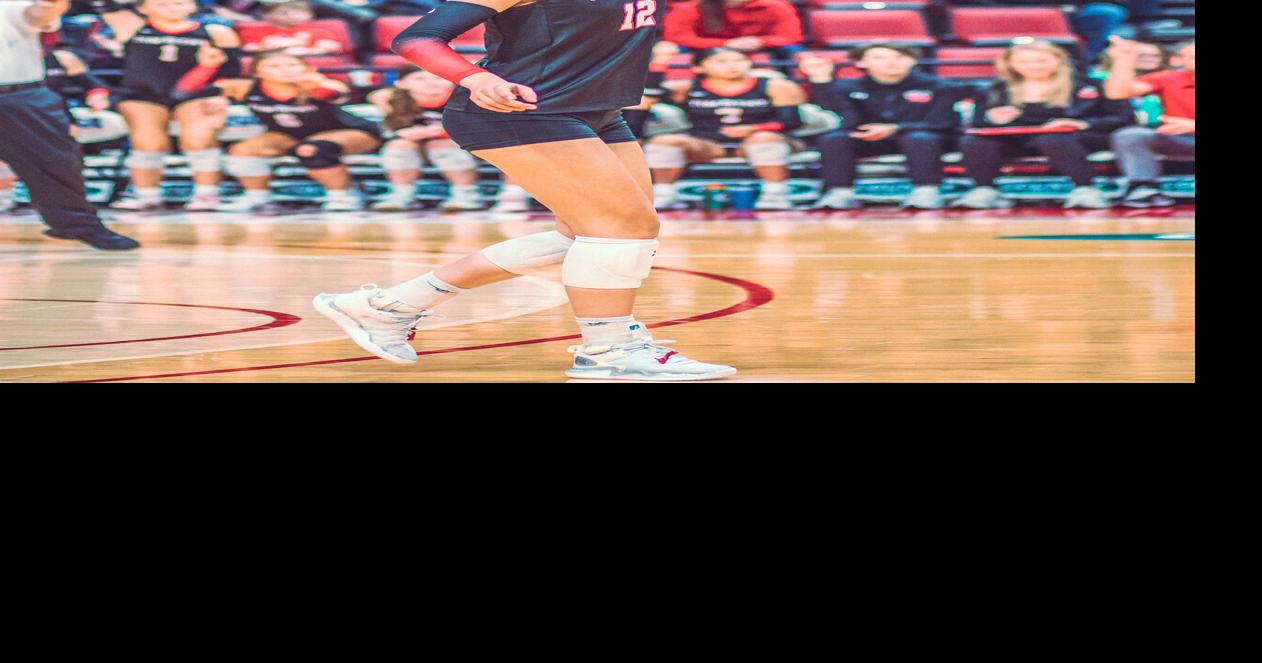 Honor roll: The News-Gazette's volleyball All-State Players of the Year ...