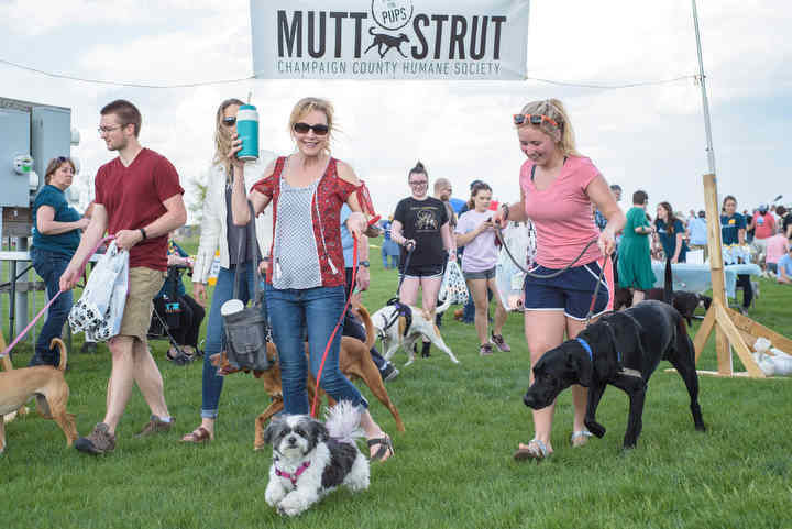 champaign humane society dogs