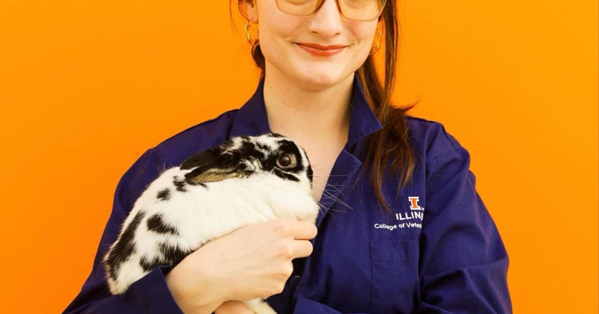 Pet Talk | Healthy habits for pet rabbits | Pets | news-gazette.com