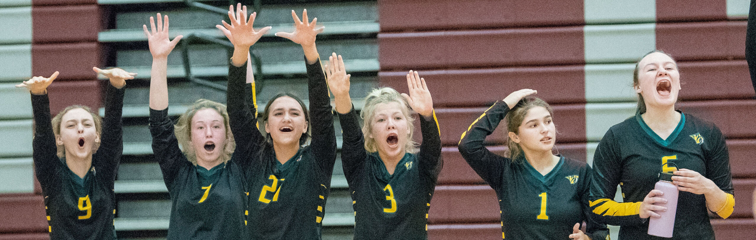 2022 IHSA Volleyball Regional Pairings | Sports | News-gazette.com