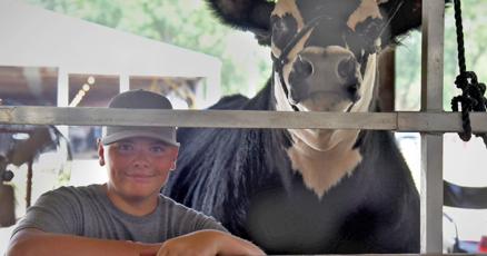For this 12yearold cattle shows are a family tradition For this 12yearold cattle shows are a family tradition
