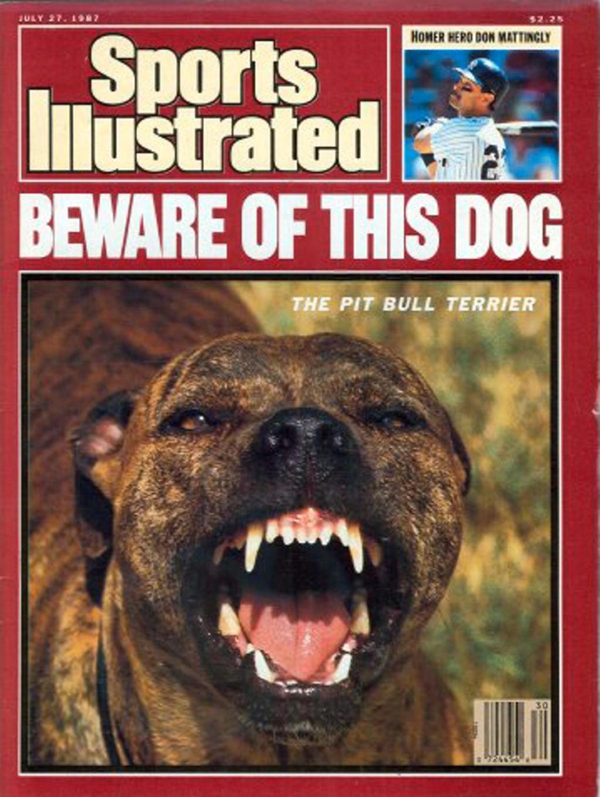 Man S Best Friend Or Mail Carrier S Worst Nightmare News News Gazette Com 1,715 likes · 23 talking about this. worst nightmare