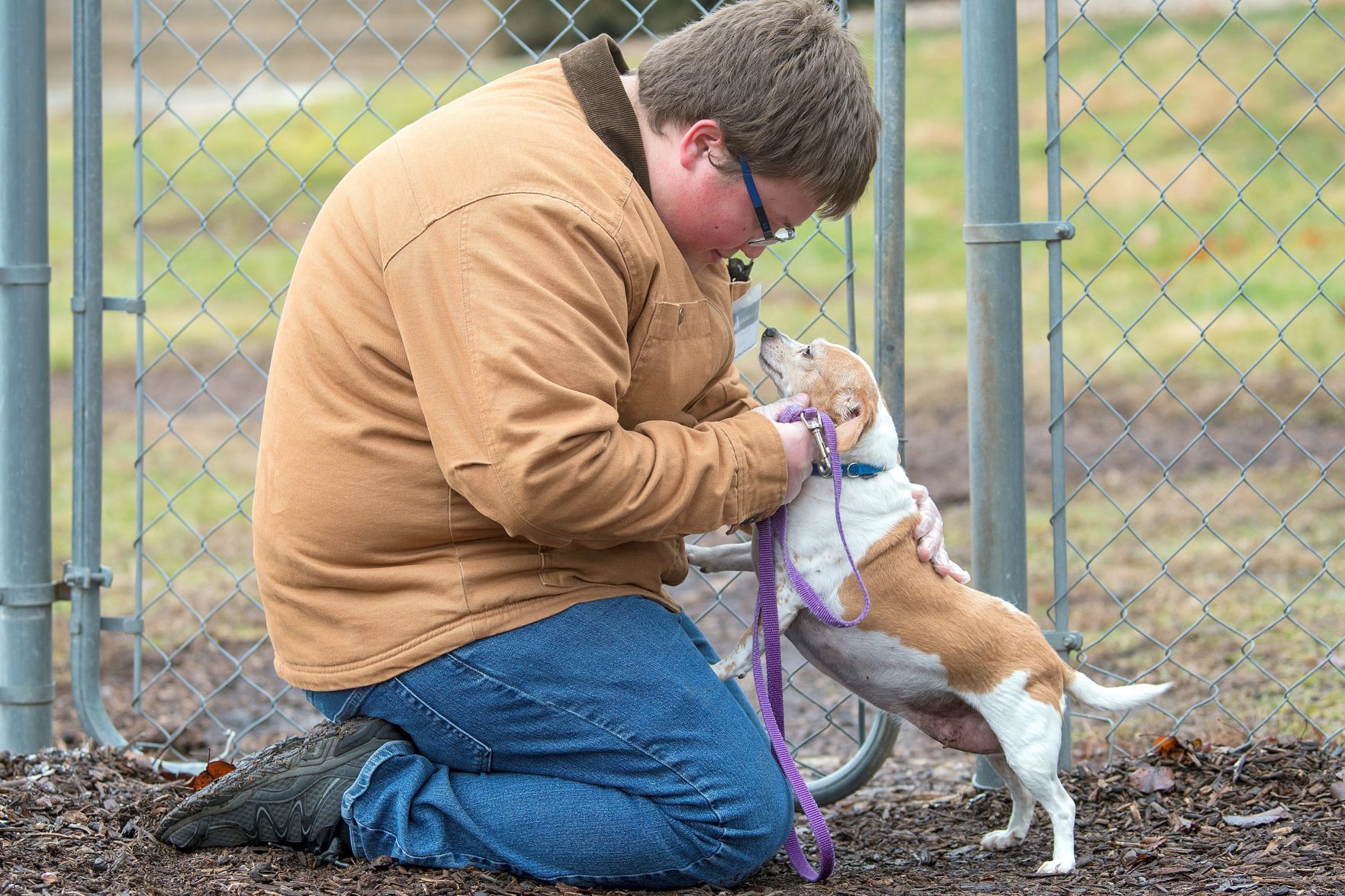 champaign humane society dogs