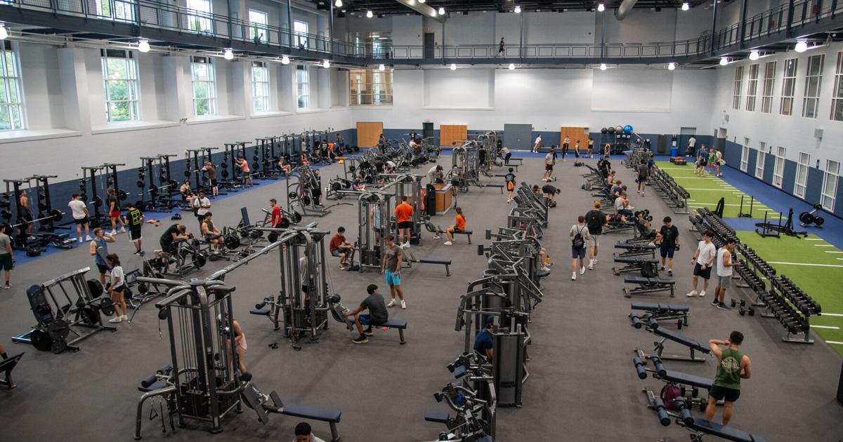 Thanksgiving point chicken eggs Thanksgiving point chicken eggs