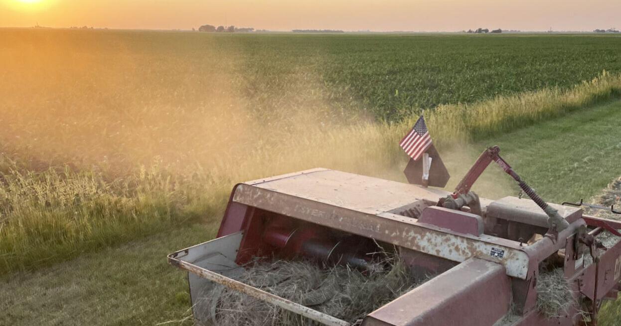 Farm family of the week | The Berbaums of Champaign County - Vimarsana News