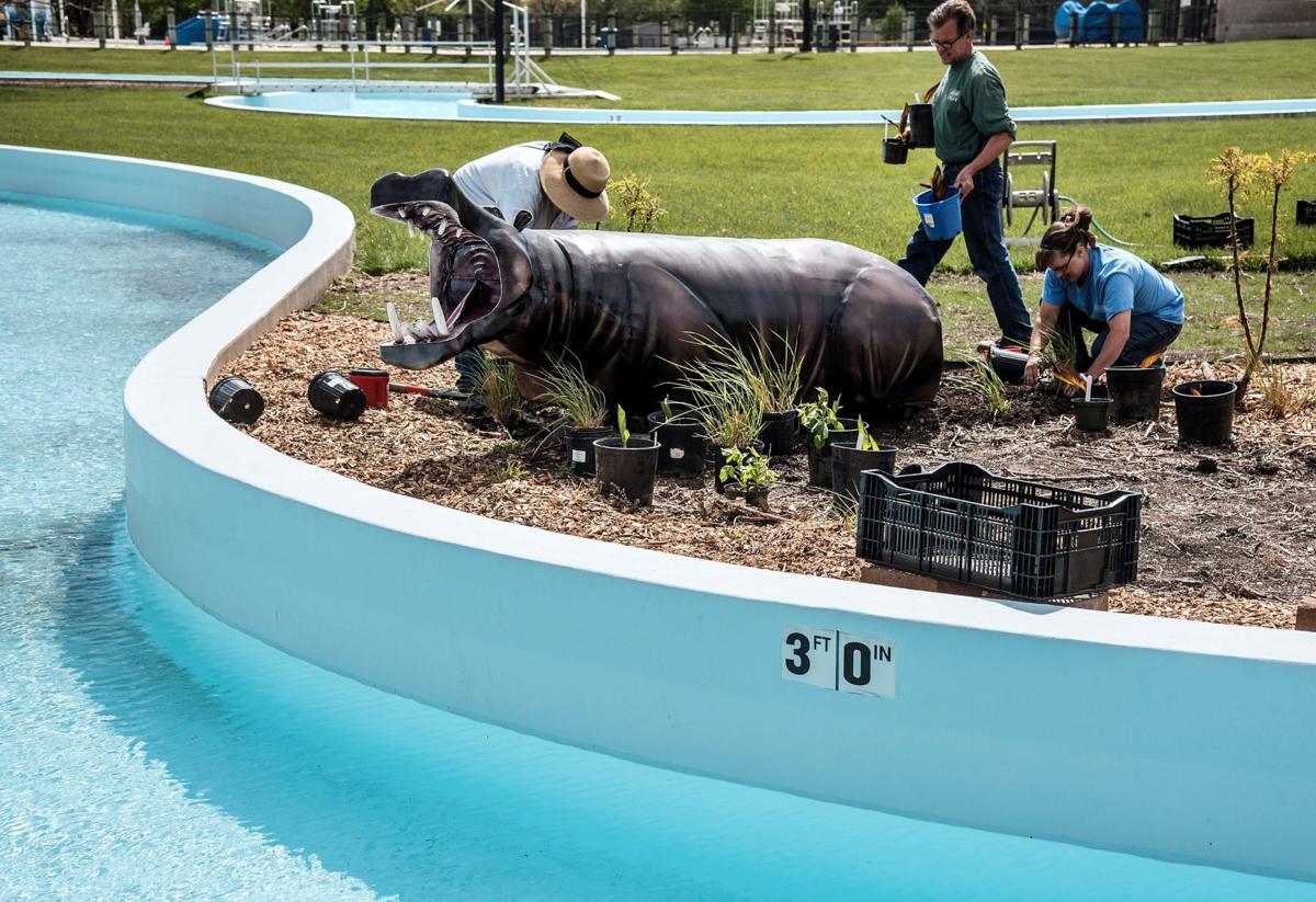 Coronavirus Response Public Pool Operators In A Bind While Preparing For Opening Day Coronavirus News Gazette Com