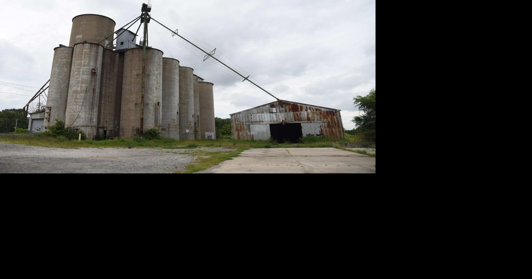 The tallest canvas in town: Savoy considers possible silo murals
