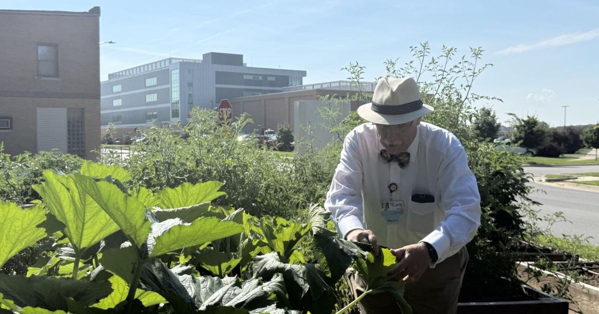 Longtime Carle doctor, Vermilion County Collaborative leader retiring