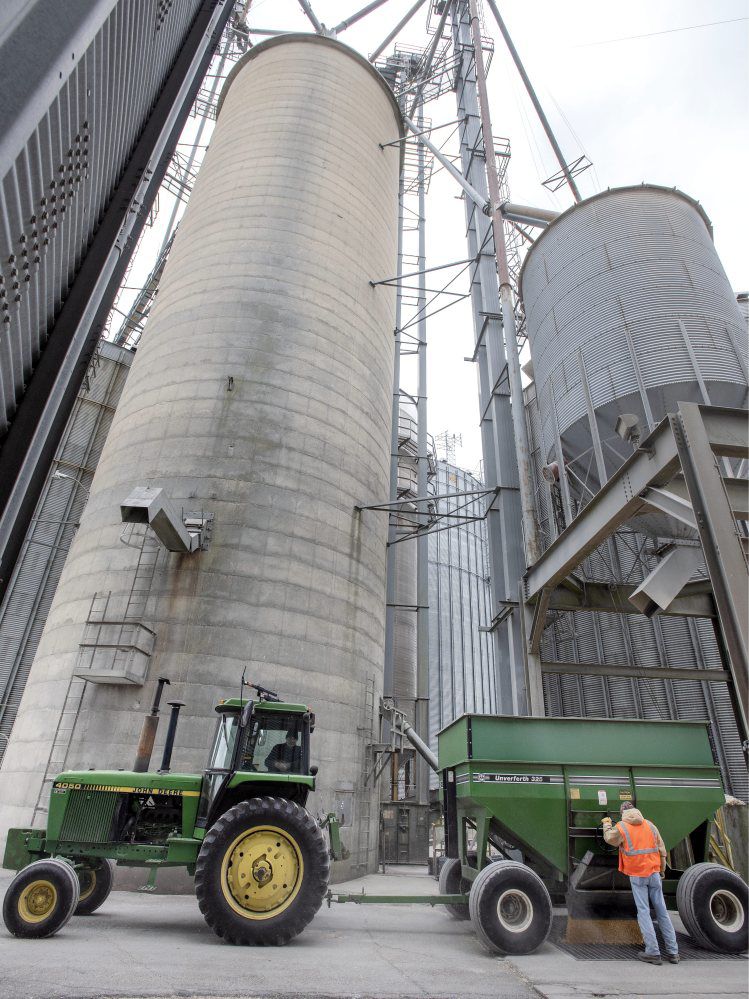 Day at grain elevator reveals ups and downs of 2019 harvest, farming