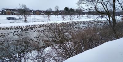 02202021 BAGweather.jpg