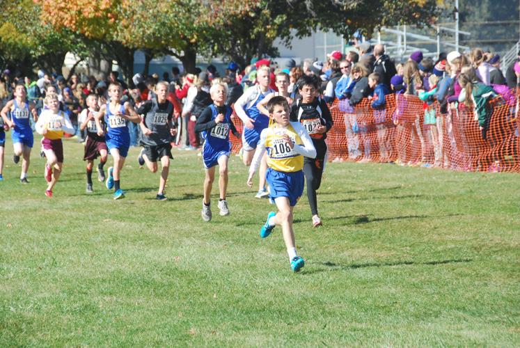 IESA cross country state meet Ford County