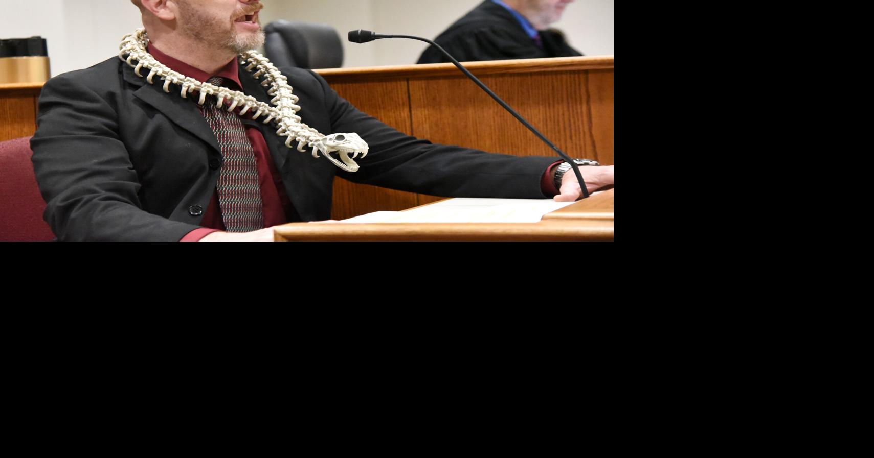 Champaign County Courthouse turns into Harry Potter's Wizengamot for Law Day