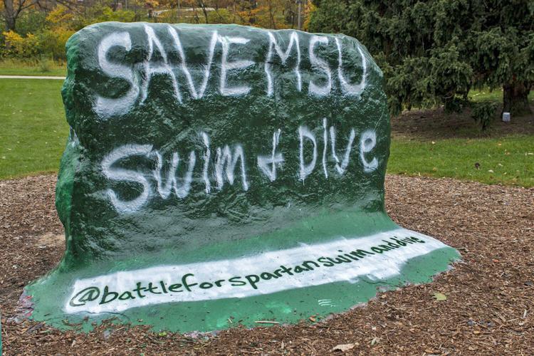 Save MSU swimming display