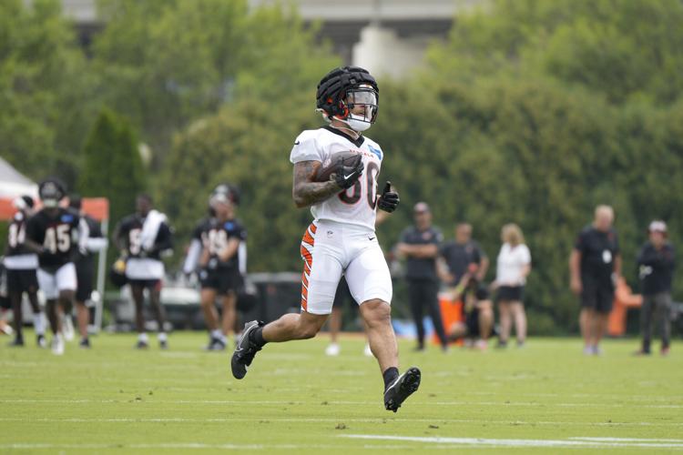 More than two dozen former Illini vying for NFL roster spots, Content