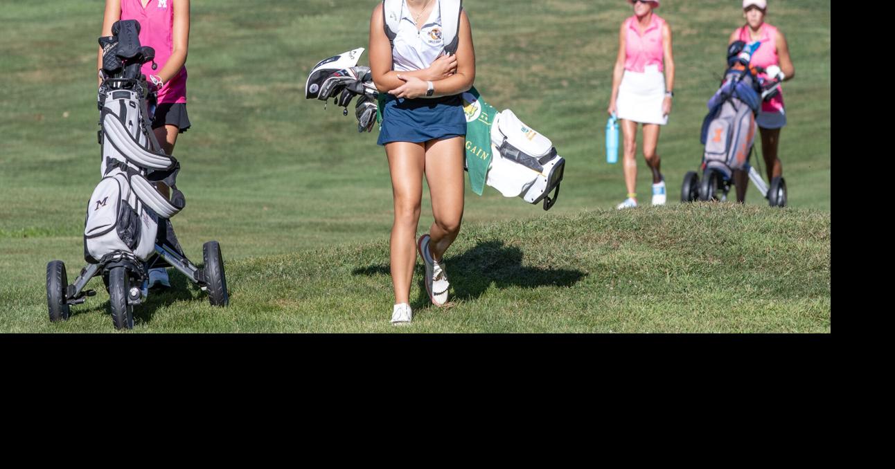 IHSA state golf: Friedman Sanders area s top placers Hartman finishes