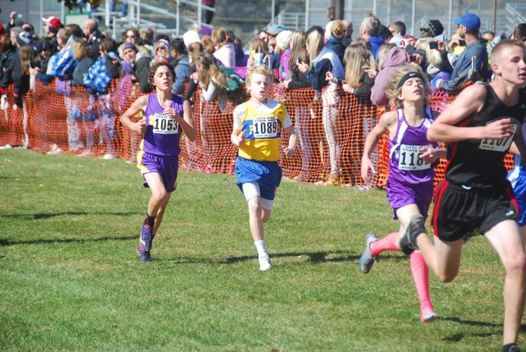 IESA cross country state meet Ford County