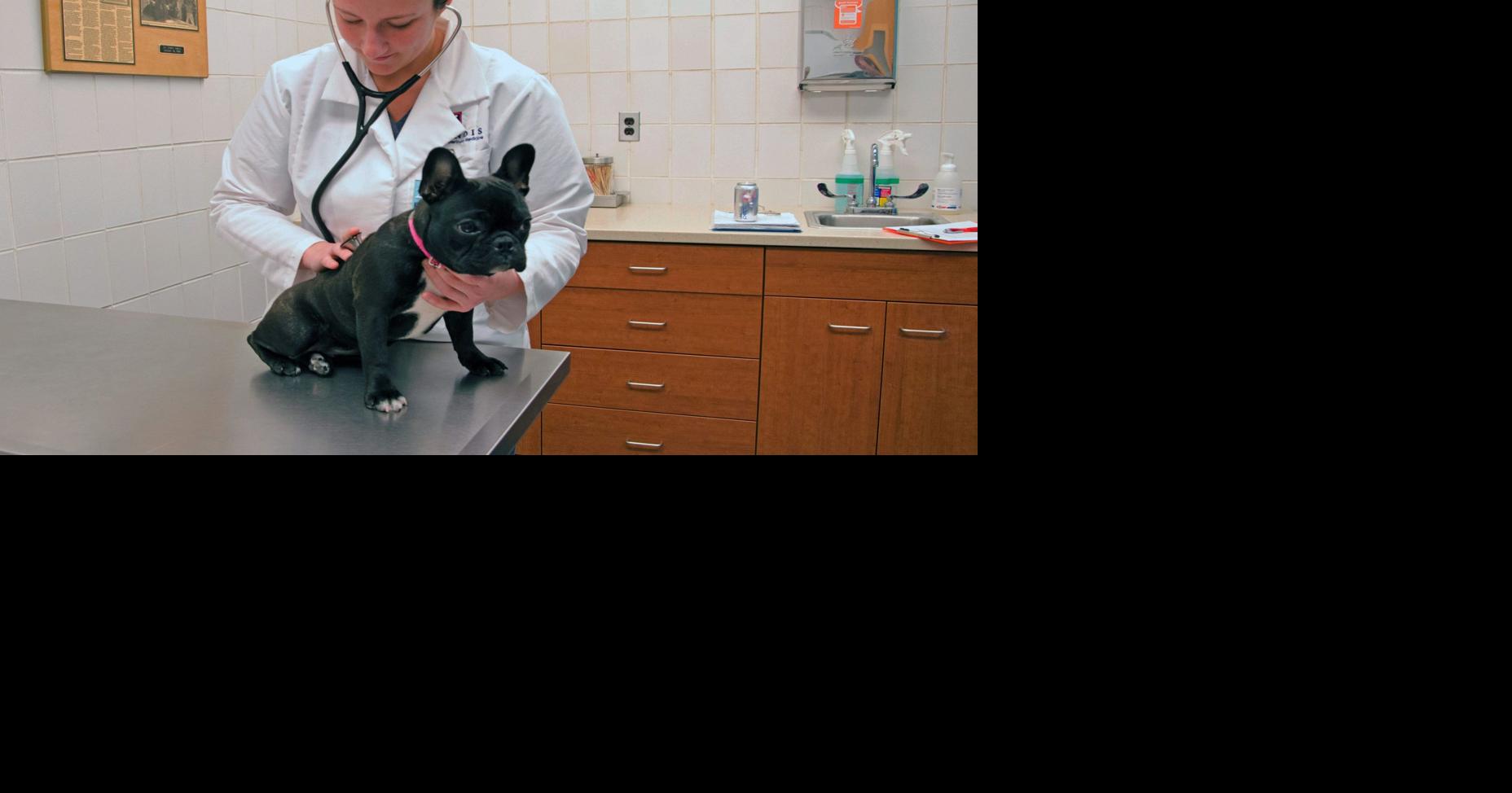 Pet Talk The facts about MRSA Local News