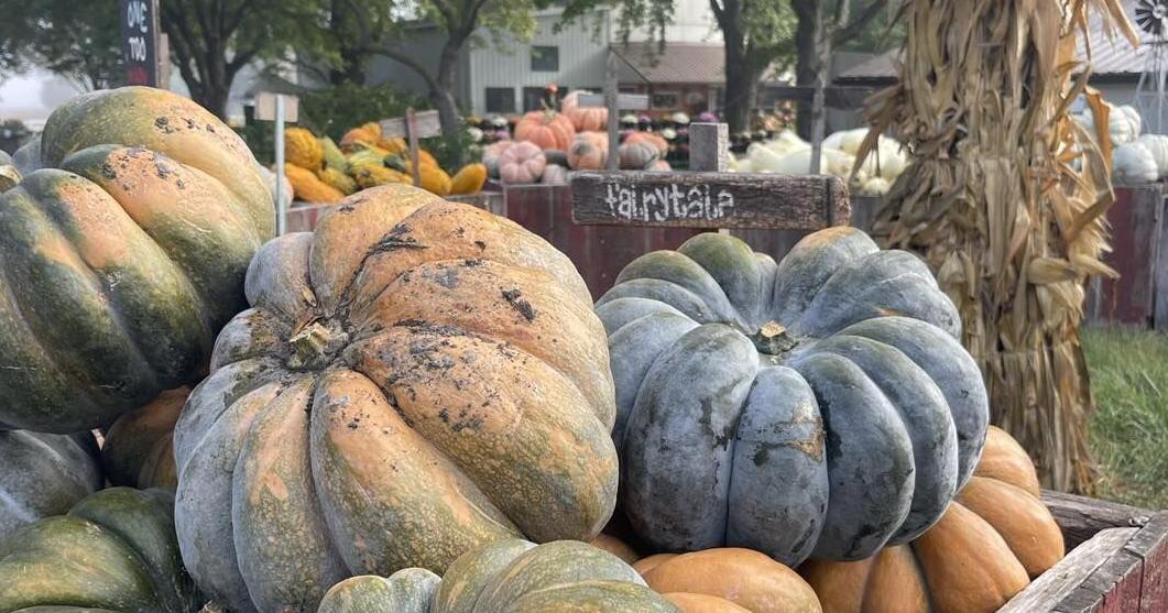 A homegrown business: Great Pumpkin Patch honored for tourism impact - Vimarsana News