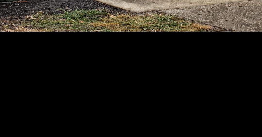 Wreaths Across America ceremony set Saturday at Danville National