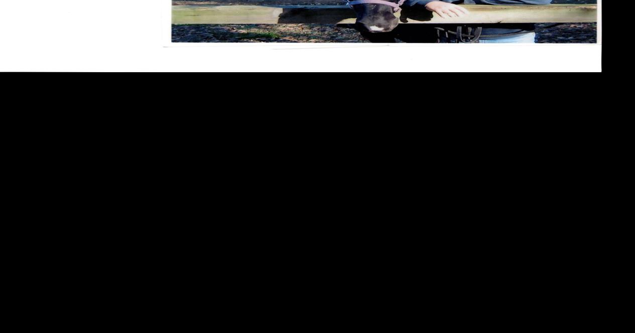 Steven Boley Archive