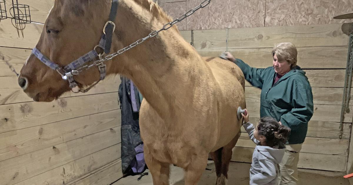 My 2023 Person of the Year | Valerie Jennings on Rumple Ranch's ...